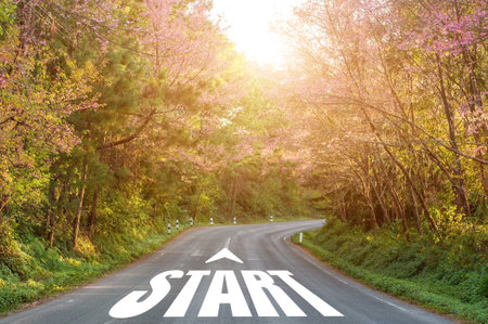 Arrow and start written on the road in the middle of asphalt road with flower blooming. Concept of planning and challenge or career path, business plan, strategy ,opportunity and change my life.の写真素材
