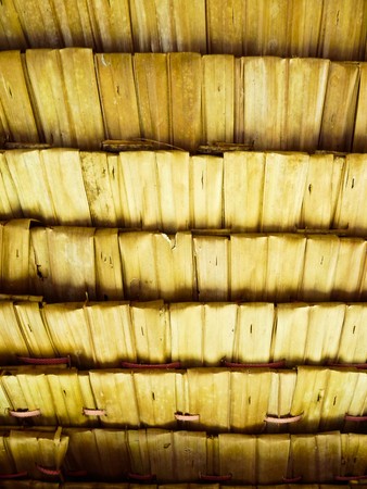 leaf roofの写真素材