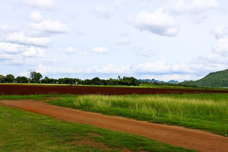 agricultureの写真素材