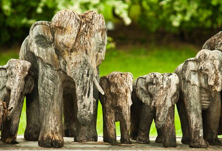 wood elephantsの写真素材