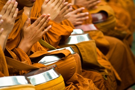 monkの写真素材