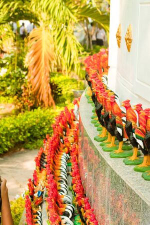 cocksの写真素材