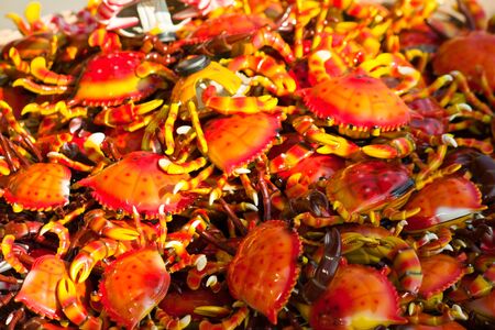 crabsの写真素材