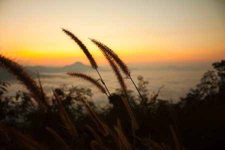 morningの写真素材