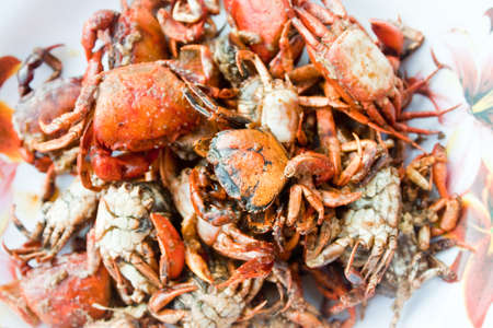 sea foodの写真素材