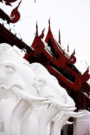 statue of white elephants の写真素材