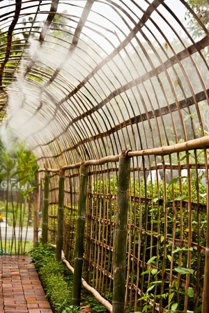 walk way to the farmのeditorial素材