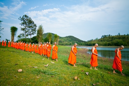 monk in garden