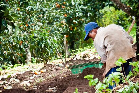 farmman in farmlandのeditorial素材