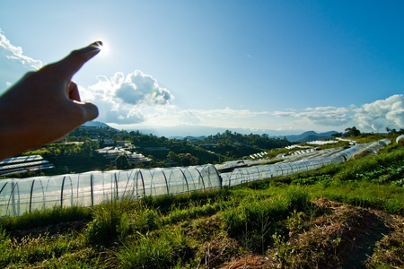 farmlandの写真素材