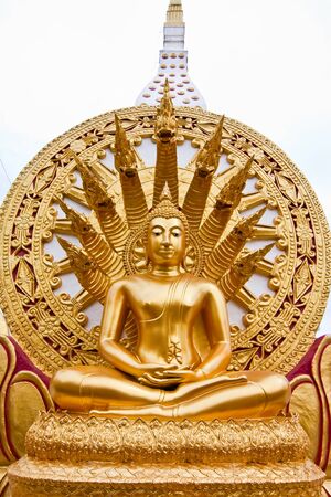 the Buddhaの写真素材