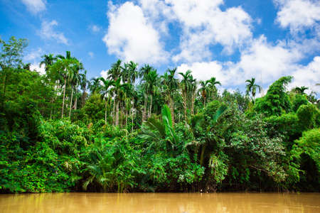 yellow river
