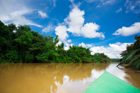 Yellow River in the tropical rainforest