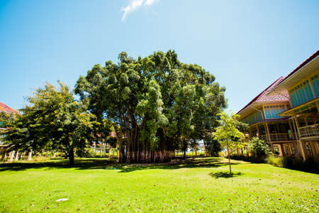 mansion in garden