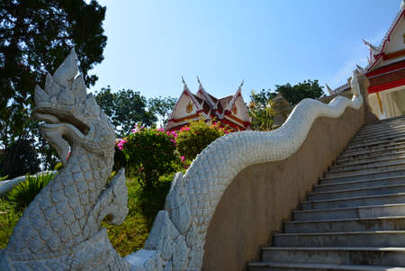 White serpentの写真素材