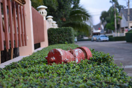 Dispensingの写真素材