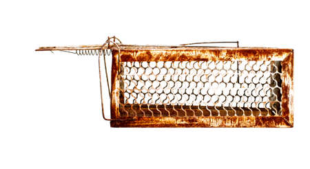 Mousetrap Rat cage white background.の写真素材