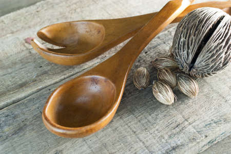 wooden spoon and Cerbera odollam seed on a wooden の写真素材