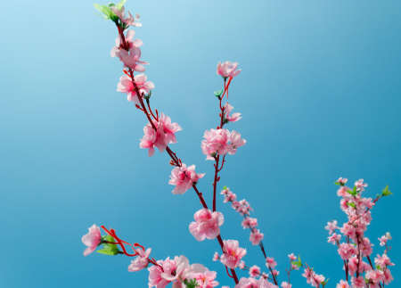 Artificial Sakura flowers, is on blue sky の写真素材
