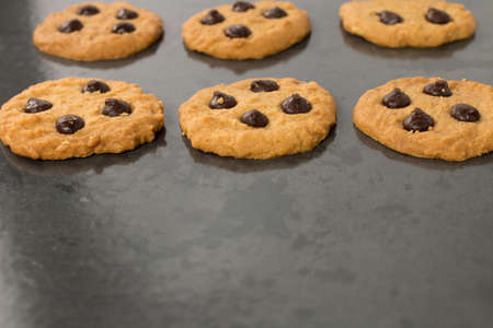 homemade chocolate chip cookies on baking sheet
