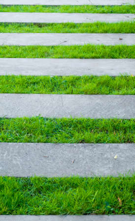 Cement footpath on green grassの写真素材