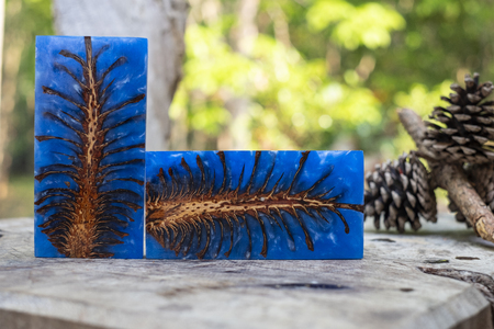 Casting epoxy resin Stabilizing pine cone abstract art blurred background