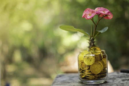 Tree with flowers growing on glass piggy bank from pile of glod coins with blurred backgroundの写真素材