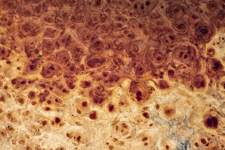 Nature afzelia burl wood striped for Picture prints interior decoration, Exotic wooden beautiful pattern for crafts or abstract art texture backgroundの写真素材
