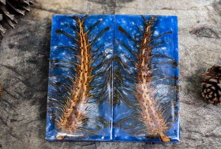 Casting epoxy resin Stabilizing pine cone blue abstract art background