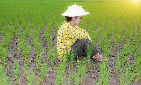 Woman farmer sat staring  rice seedlings in a paddy field growing racked and dry soil in arid areas landscapeの写真素材