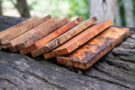 Sawed timber burl wood striped prepare for the crafts