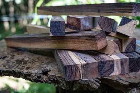 Logs woods of Burma blackwood on blurred background