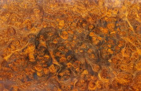 Nature burl wood striped Exotic wooden beautiful pattern for crafts or abstract art texture...