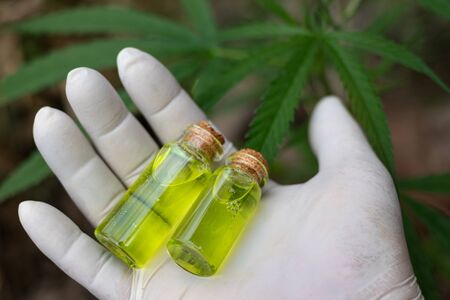 Hand holding a glass bottle with CBD oil and cannabis leaf at the background, medical marijuana conceptの写真素材