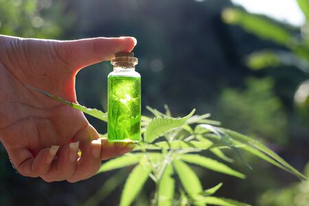 Hand holding a glass bottle with CBD oil and cannabis leaf at the background, medical marijuana conceptの写真素材