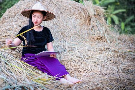 Portrait woman farmer using a digital tablet while sitting in a paddy field at the straw background, Rural scene in Thailandの写真素材