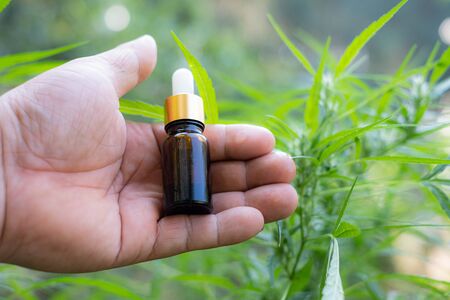 Hand holding a glass bottle with CBD oil at cannabis flowers blooming background, medical marijuana conceptの写真素材