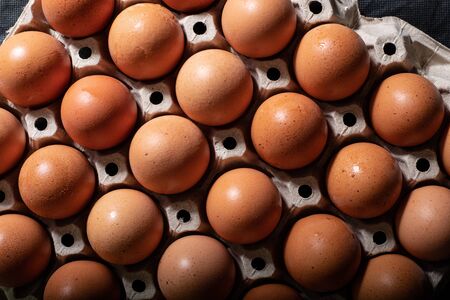 Eggs carton with chicken egg lined up in rows at black background