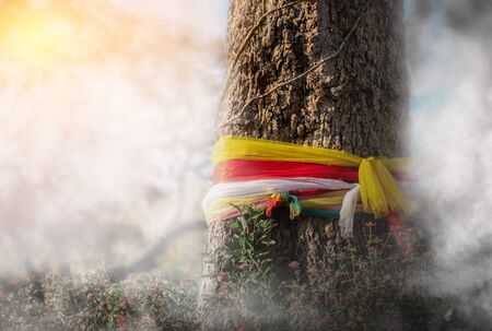 A colorful cloth wrapped around a big tree with faithful in the park, Belief in religion to health...
