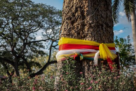 A colorful cloth wrapped around a big tree with faithful in the park, Belief in religion to health and luck, The real purpose is that it was a strategy to prevent the cutting of big trees conceptの写真素材