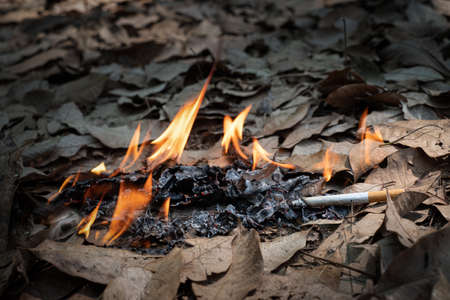 Close up cigarette butt non-smoked carelessly are thrown into dry grass on the ground causing a...