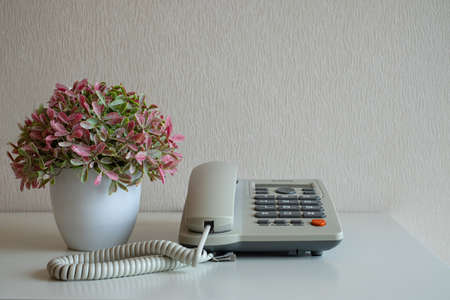 Telephone and flower pot on the desk at gray wall background