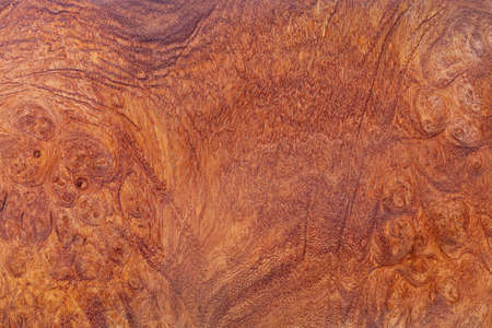 Nature Afzelia burl wood striped are wooden beautiful pattern for crafts or background