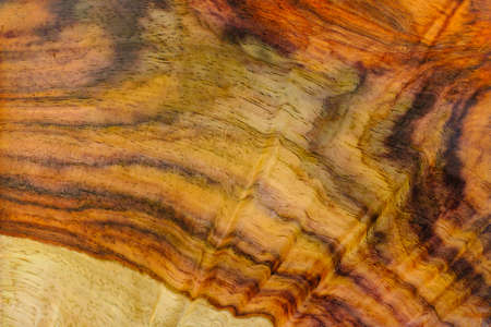 Rosewood wood texture background surface with natural patternの写真素材