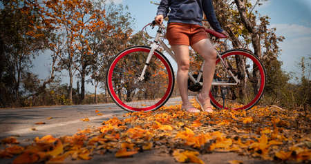 Woman standing next to her bike outdoors at palash tree with full of beautiful orange flower background, Butea Monosperma or Butea frondosa of southeast asia from natureの写真素材