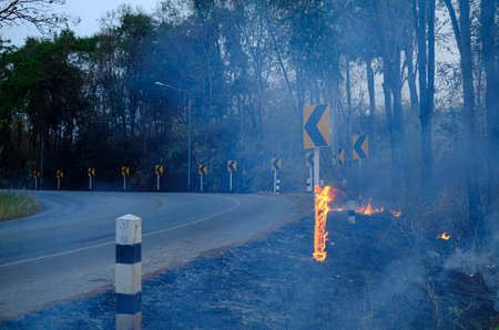 The Roadside Pillar pole is burning with flames and there is smoke rising from the fire caused by wildfireの写真素材