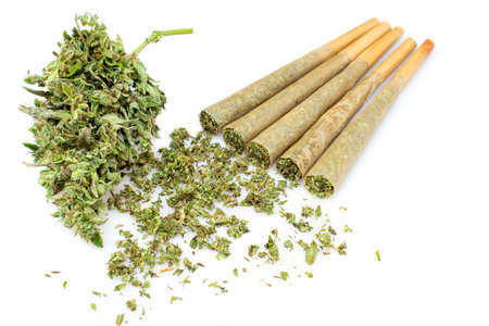 Marijuana joint pre-rolled cone paper on white background,  roll paper cannabisの写真素材