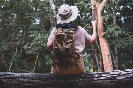 Back view of woman with backpack hiking sitting on a tree trunk in deep forestの写真素材