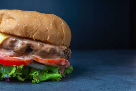 fresh tasty burger on black background,copy space for text.