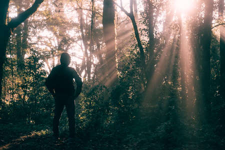 One man on his way in a sunrises on the forest,Man hiking in the woods after the rain stopped and the sun now shines through the forest.の写真素材